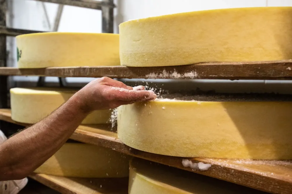Artisan fromager à Sarlat-la-Canéda