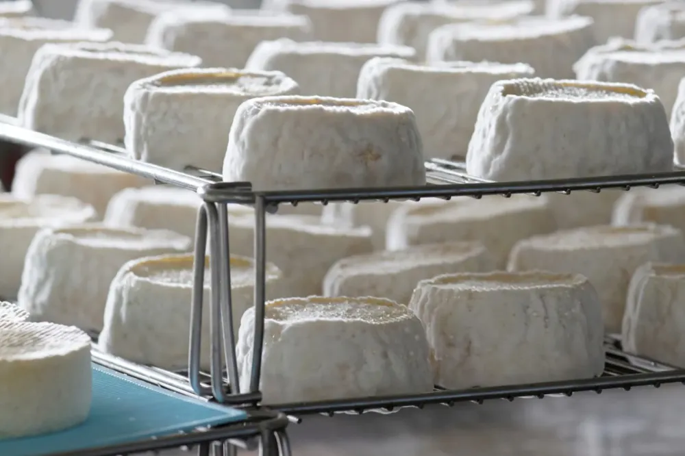 Producteur de fromage à Sarlat-la-Canéda